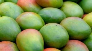 manggo|Mango: 10 gesunde Wirkungen & 4 Tipps zur Verwendung